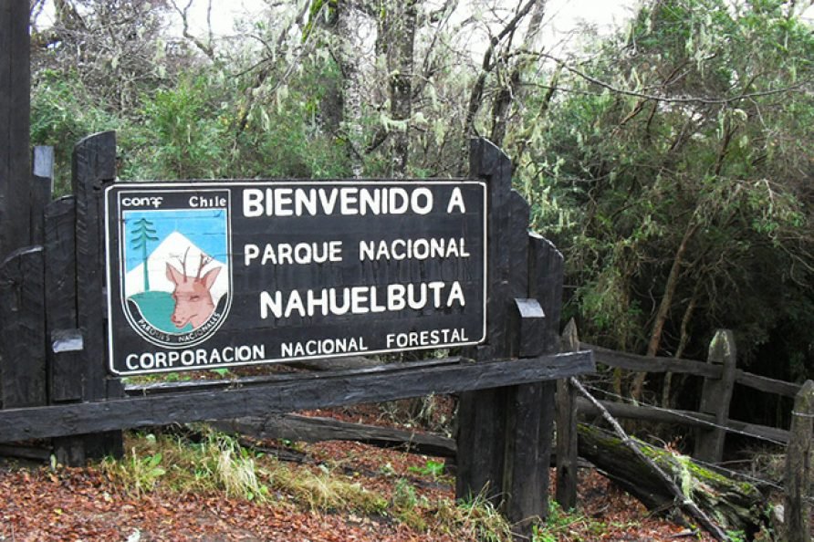 parque-nahuelbuta